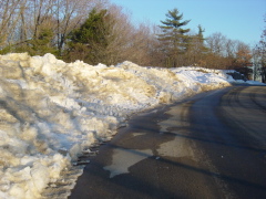 DSC01878.JPG