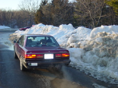 DSC01879.JPG
