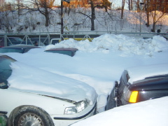 DSC01880.JPG